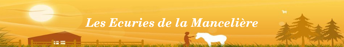 Les Ecuries de la Mancelière